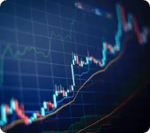Finanzen & Buchhaltung