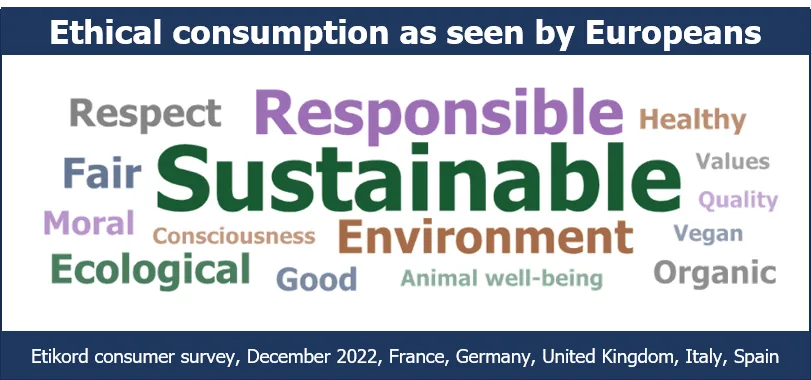 Nube de palabras que muestra los términos más asociados con el "consumo ético" en Europa: sostenible, responsable, medio ambiente, justo, ecológico, justo y respeto.